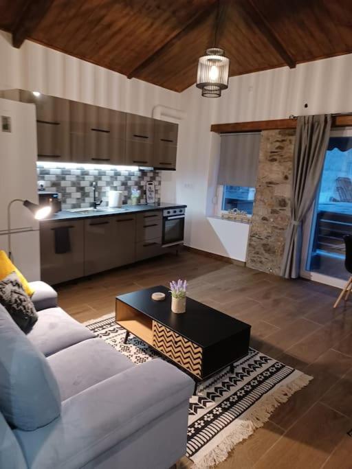 Luxury Apartment With Balcony Mytilíni Exterior foto